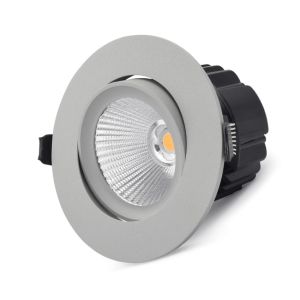 15w Dione Adjustable LED Downlight - Silver (45 Degree Beam - 1190lm)