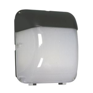 L2U-4518 55w LED Wall Light - Weatherproof