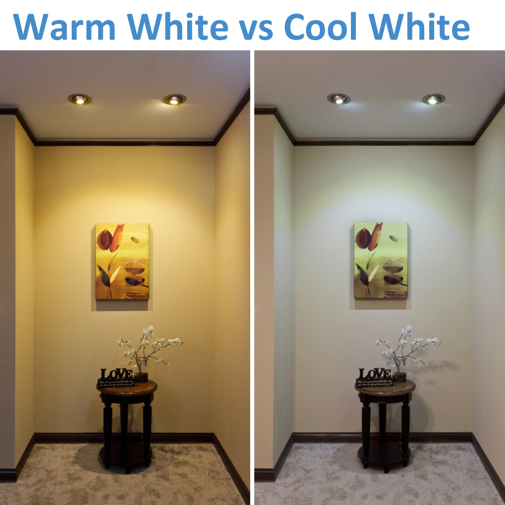 Svin æg venstre Warm White vs. Cool White LED Lighting